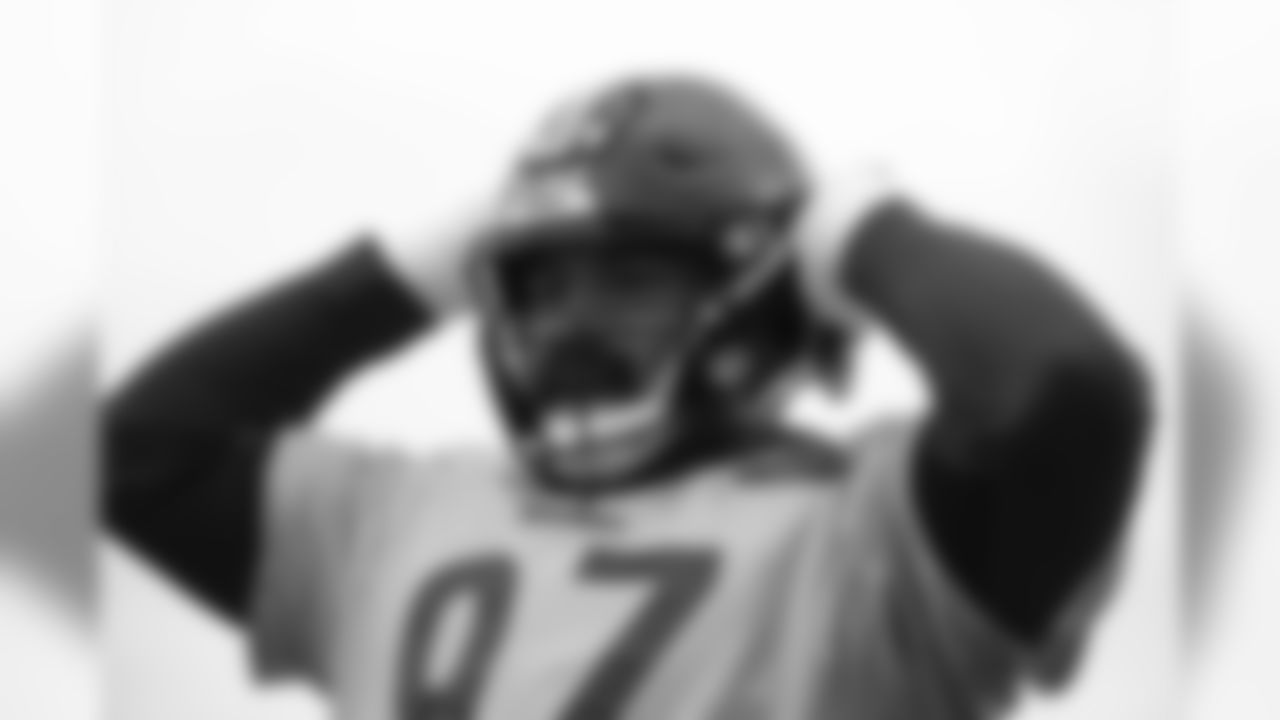 Cameron Heyward