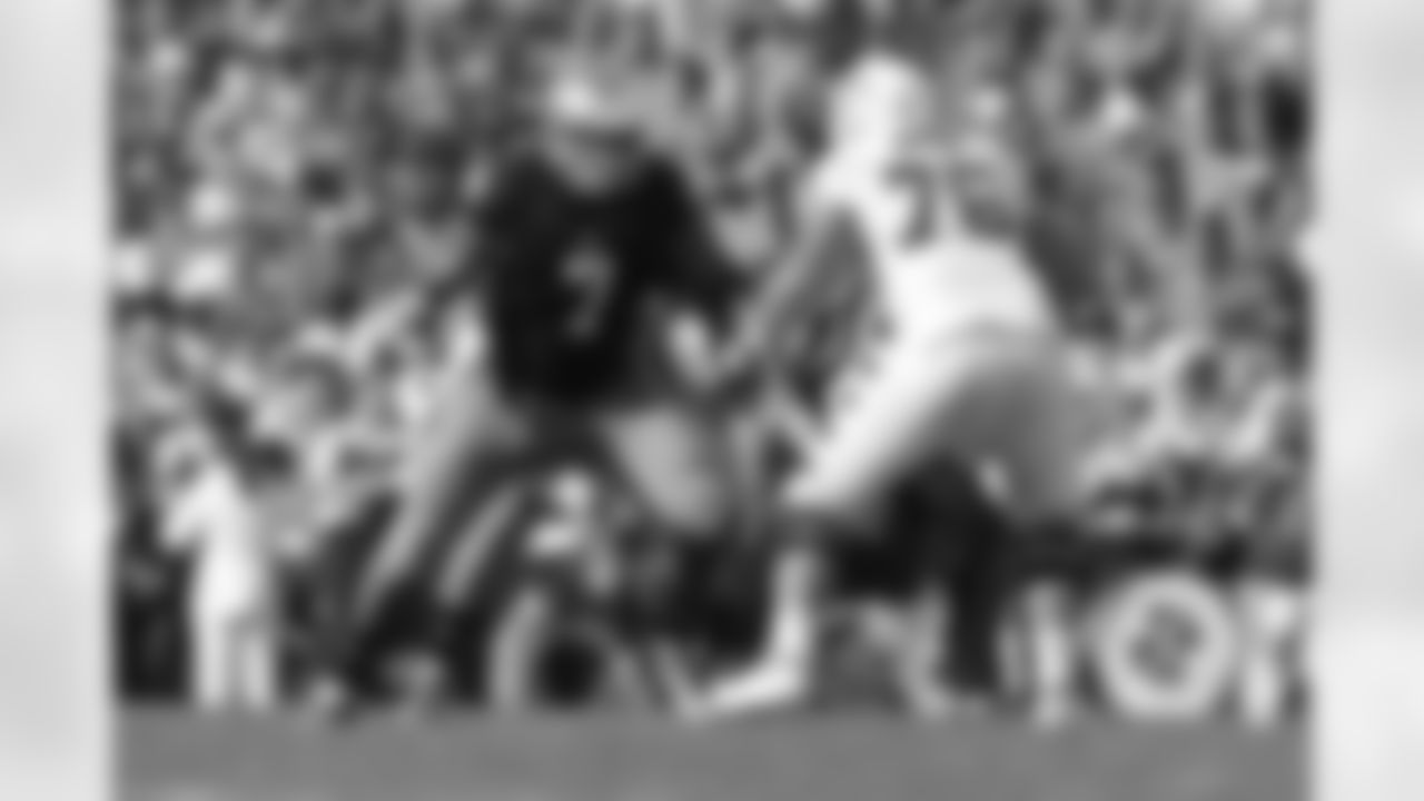 Stephon Tuitt, University of Notre Dame