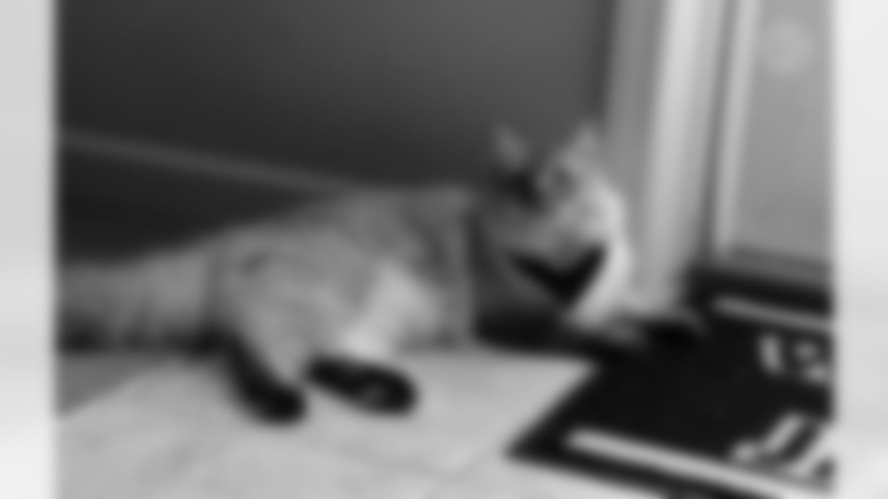 Submitted by Nicole Ciufo