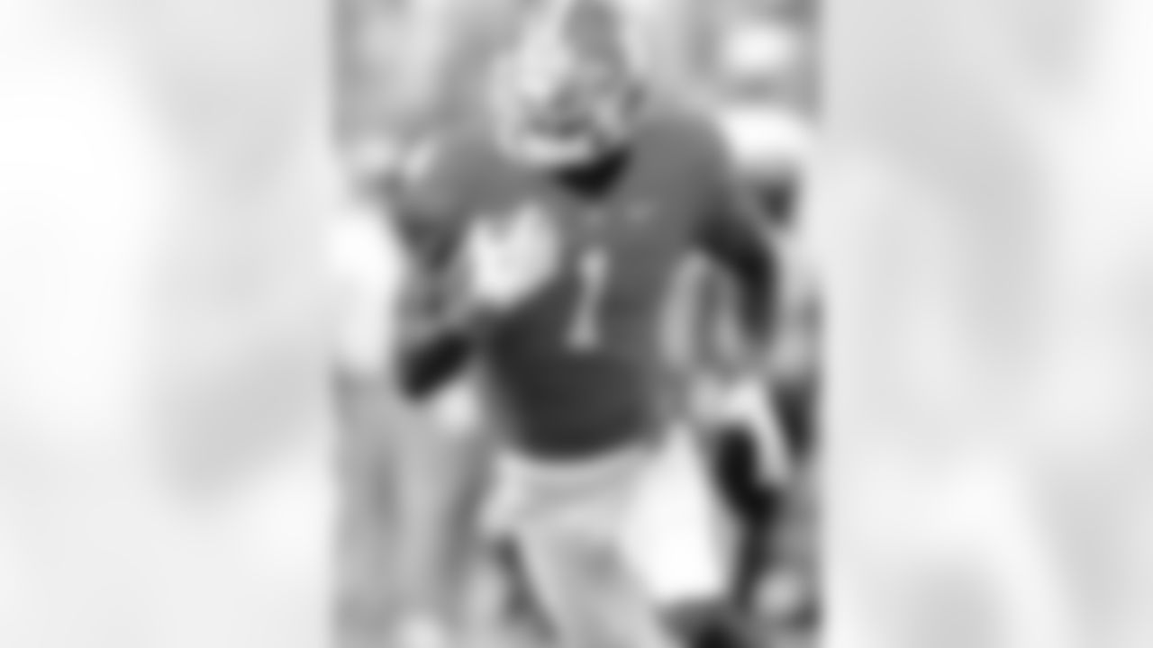 Martavis Bryant, Clemson University