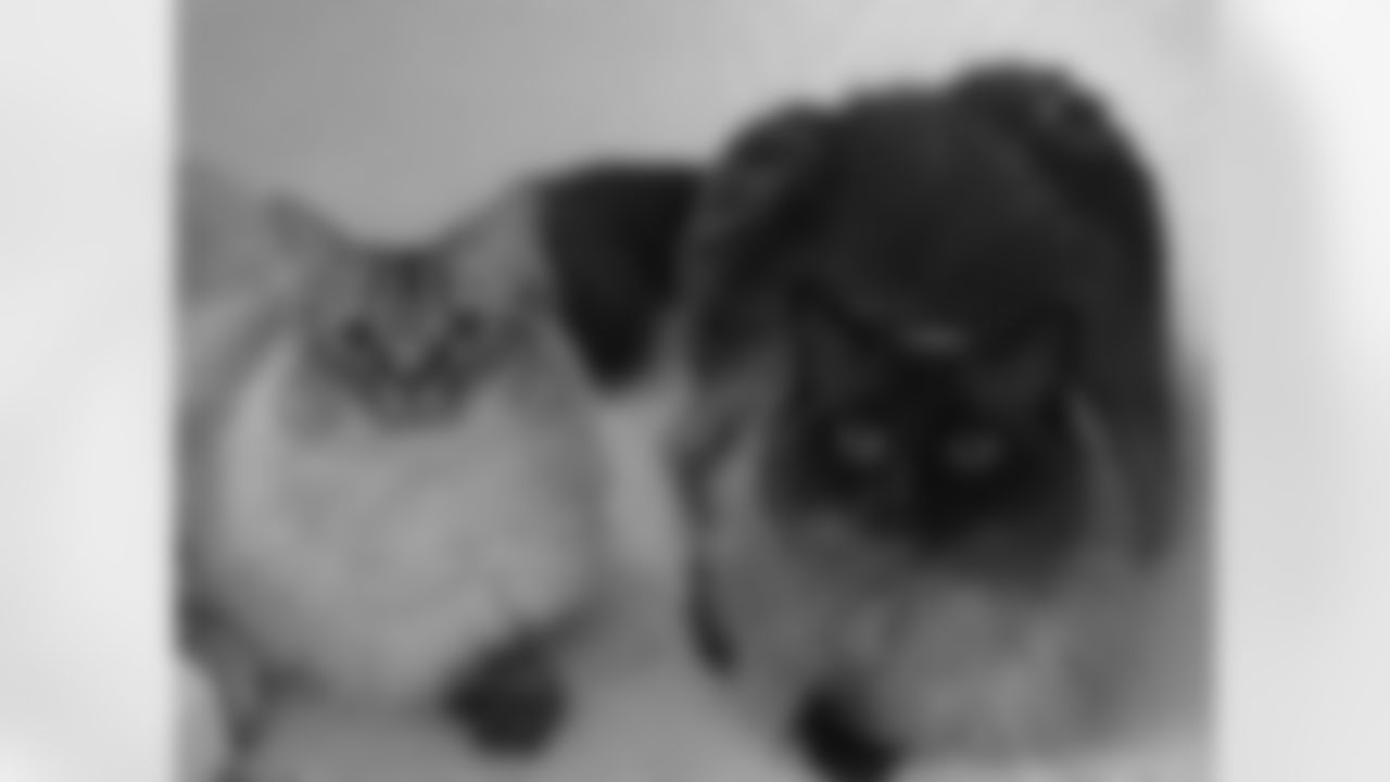 Lambert and Rooney, submitted by Nicole C.