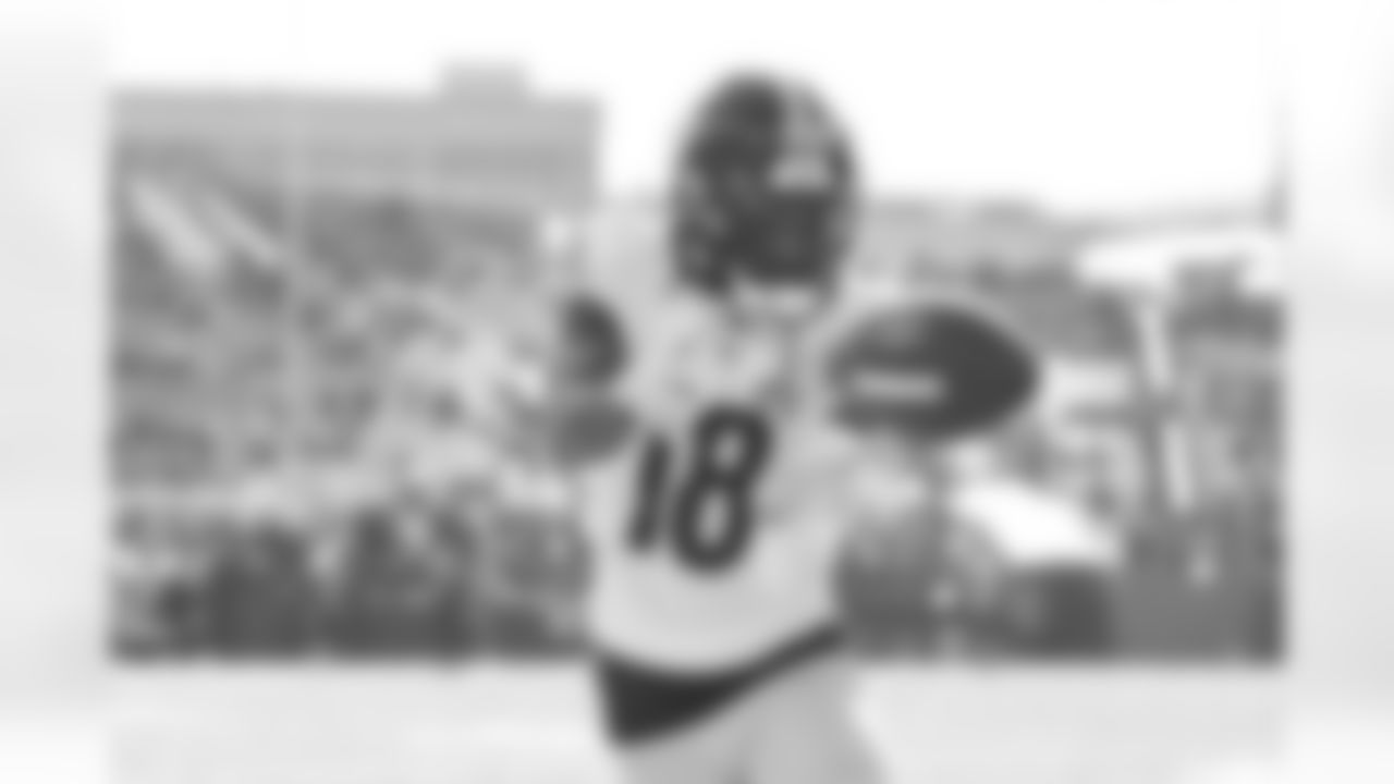 Pittsburgh Steelers wide receiver Diontae Johnson (18) during a regular season game between the Pittsburgh Steelers and the Cincinnati Bengals, Sunday, Nov. 28, 2021 in Cincinnati, OH. The Bengals beat the Steelers 41-10. (Karl Roser / Pittsburgh Steelers)
