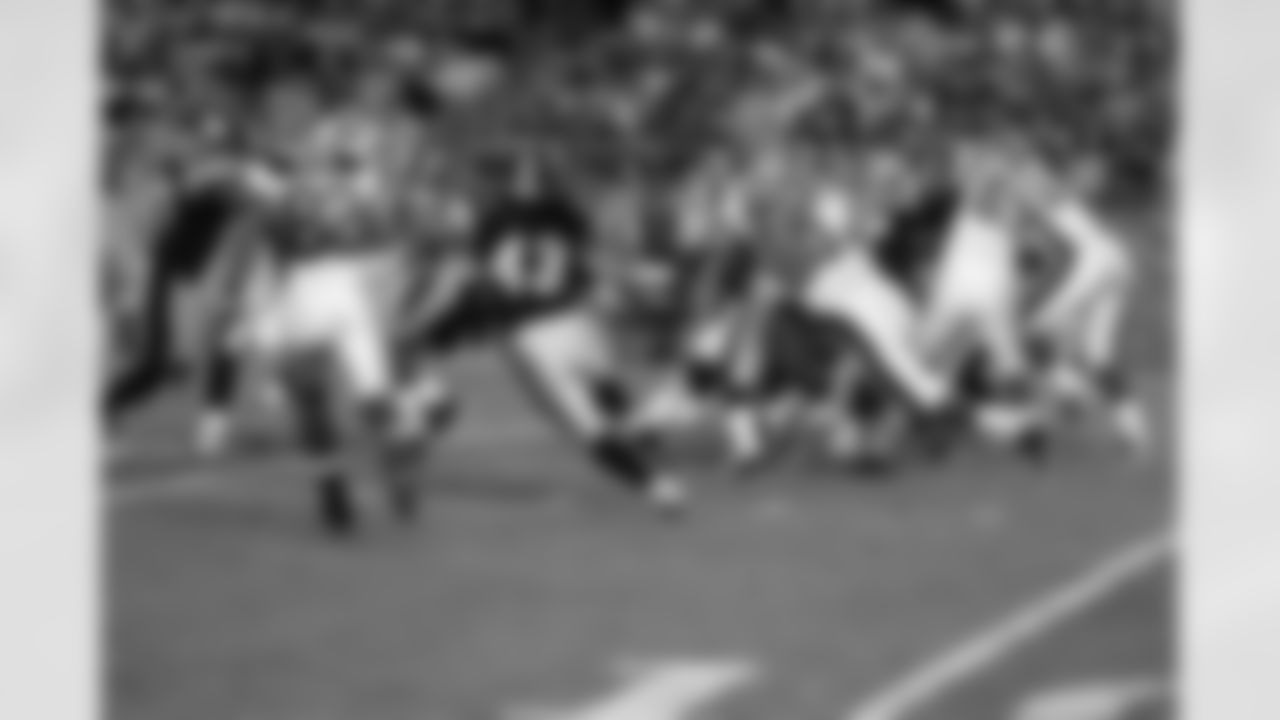 09_Bills_polamalu2