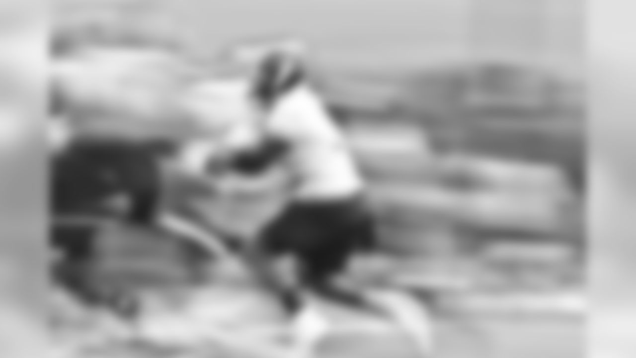 Stevan Ridley