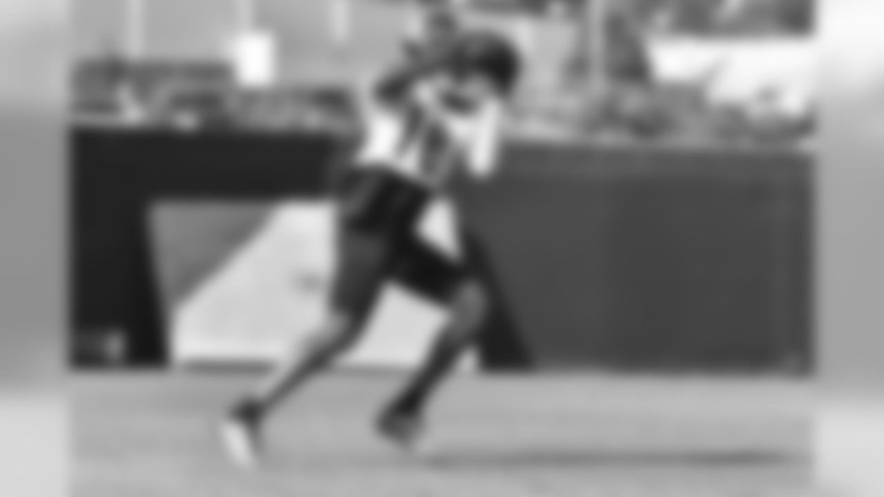 Diontae Johnson