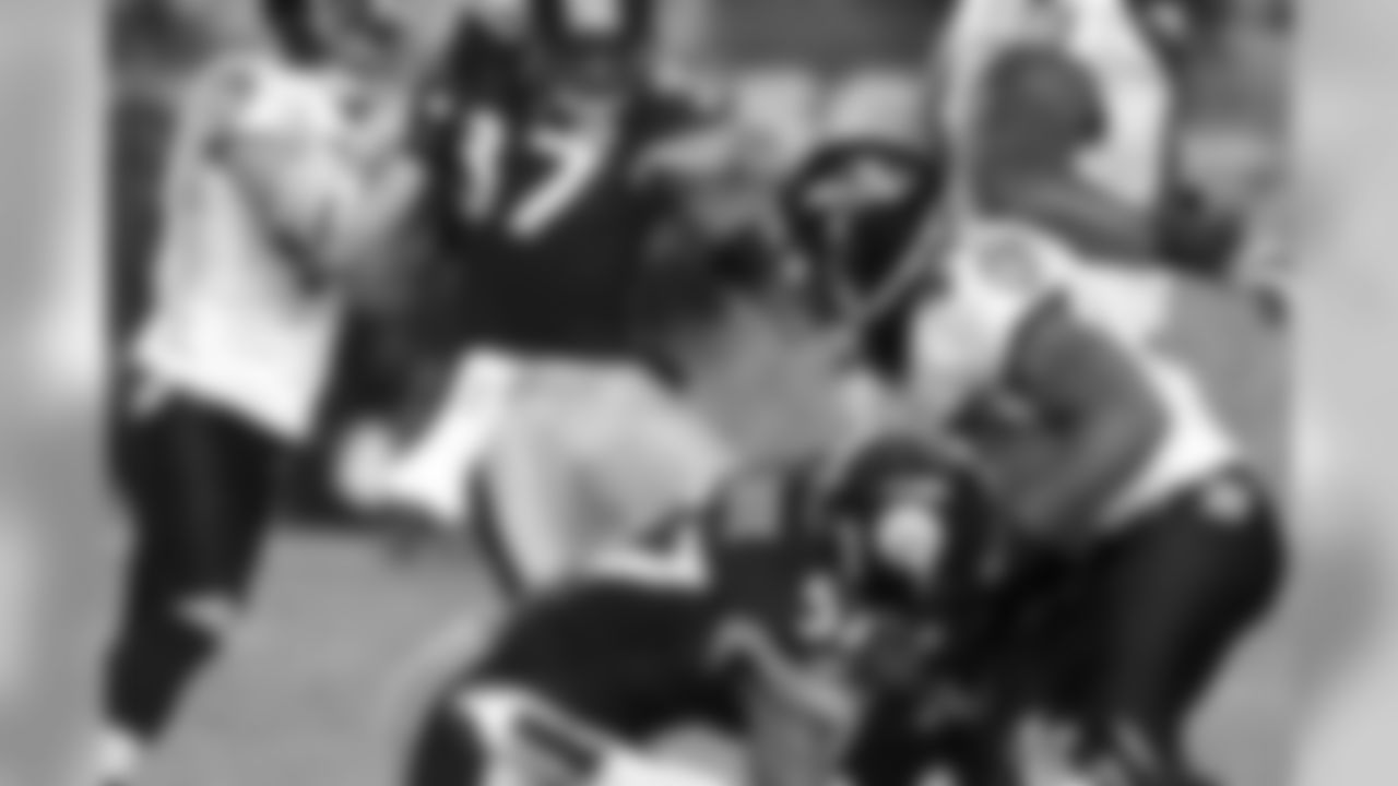 08_BAL3DH_fox