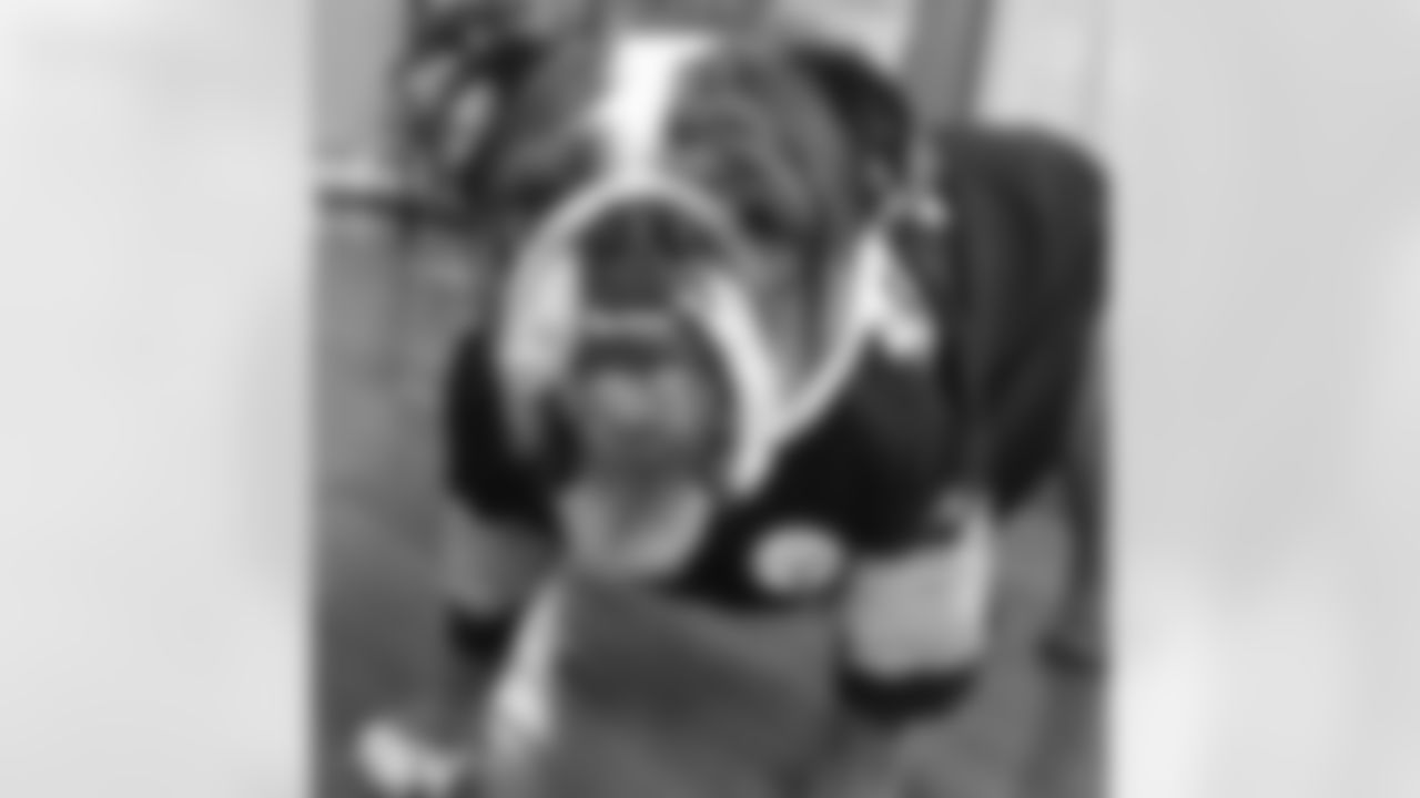 Submitted by Christine Bence