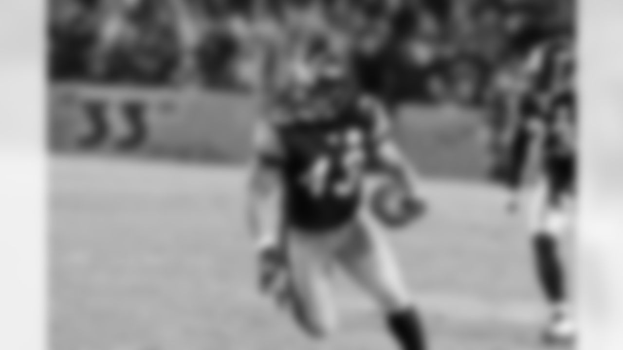 08_BAL3DH_polamalu3