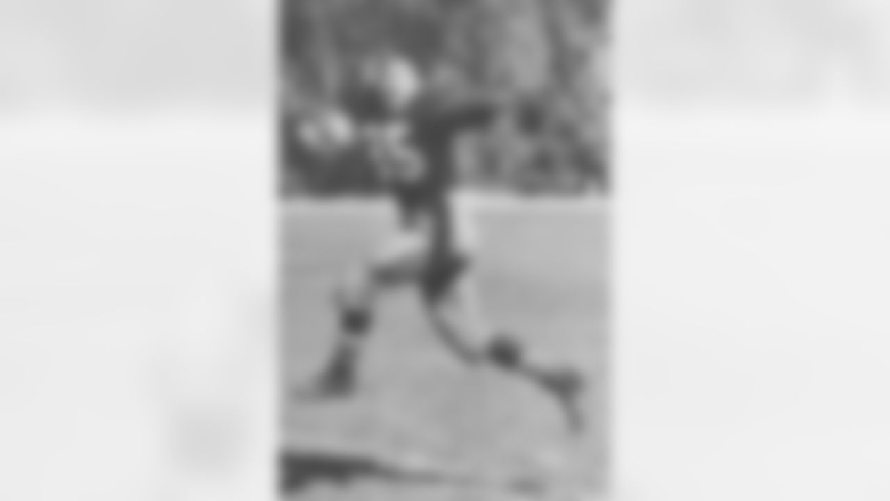 Bill Dudley was inducted into the Pro Football Hall of Fame in 1966