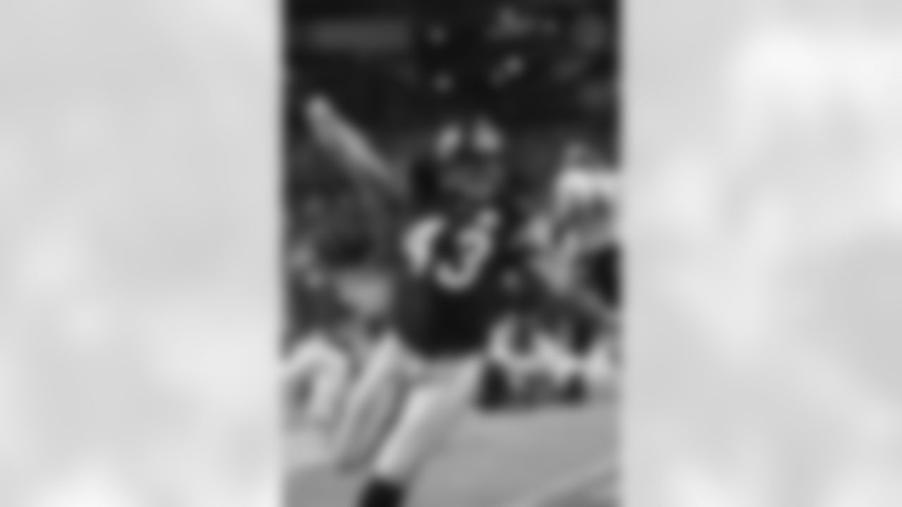 Troy Polamalu