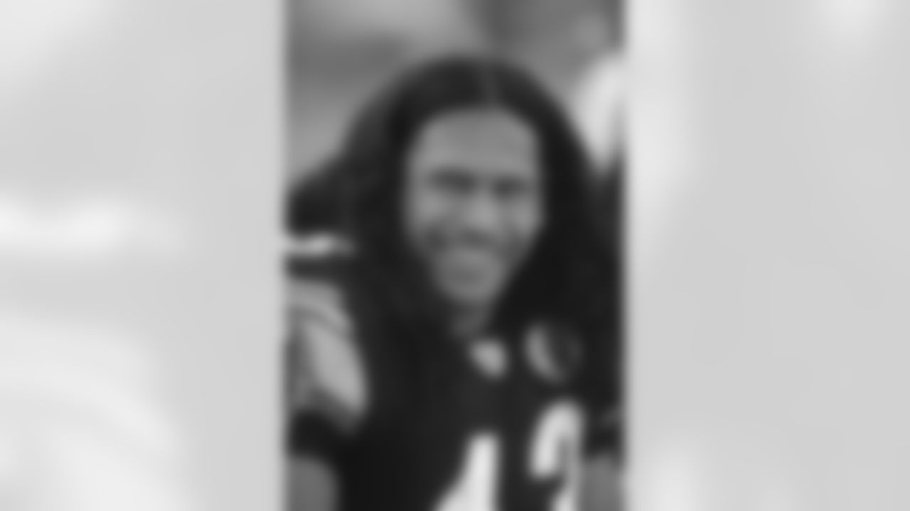 Troy Polamalu