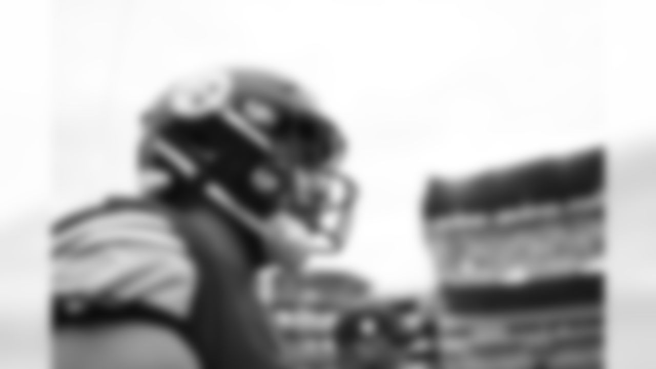 Pittsburgh Steelers defensive lineman Chris Wormley (95) during a regular season game between the Pittsburgh Steelers and the New York Jets, Sunday, Oct. 2, 2022 in Pittsburgh, PA. (Karl Roser / Pittsburgh Steelers)