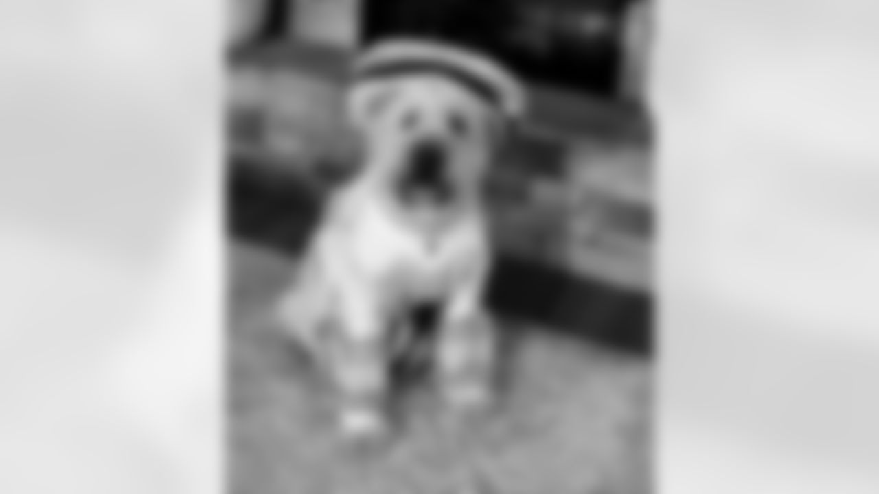 Submitted by Jackie Martindale