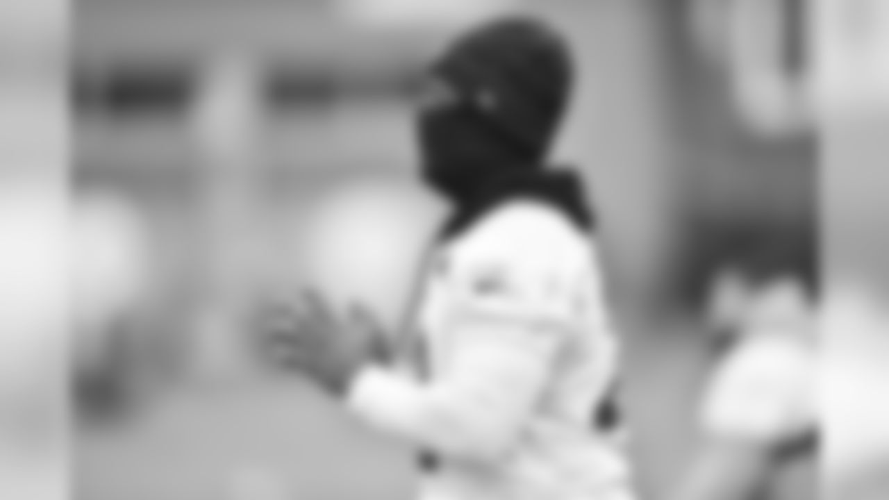 Stevan Ridley