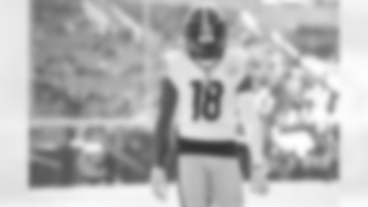 Pittsburgh Steelers wide receiver Diontae Johnson (18) during a regular season game between the Pittsburgh Steelers and the Cincinnati Bengals, Sunday, Nov. 28, 2021 in Cincinnati, OH. The Bengals beat the Steelers 41-10. (Karl Roser / Pittsburgh Steelers)