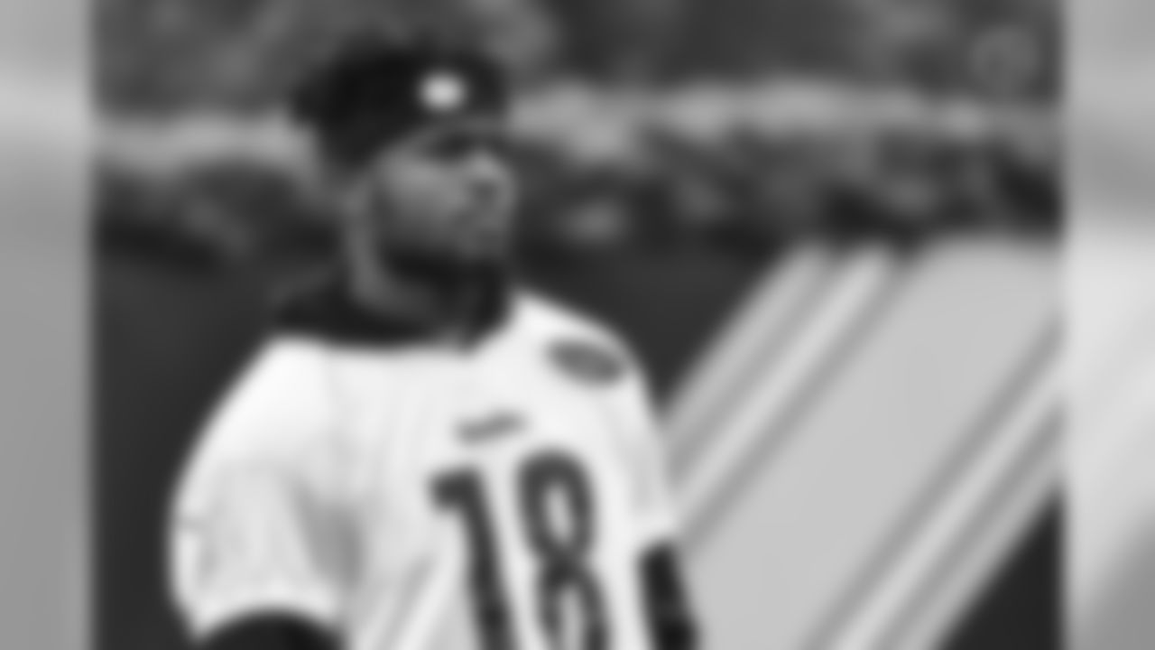 Diontae Johnson