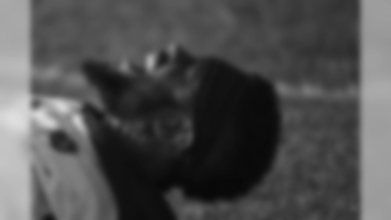 Stevan Ridley