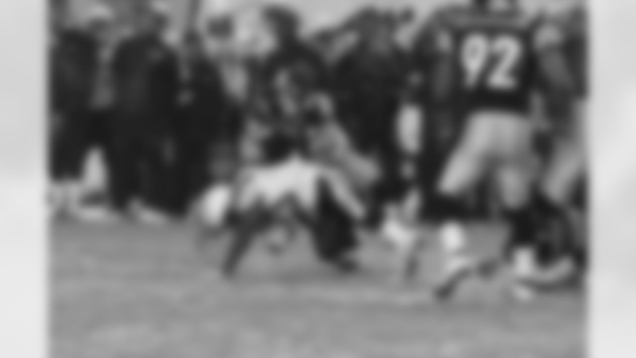 08_SD2_polamalu_harrison2