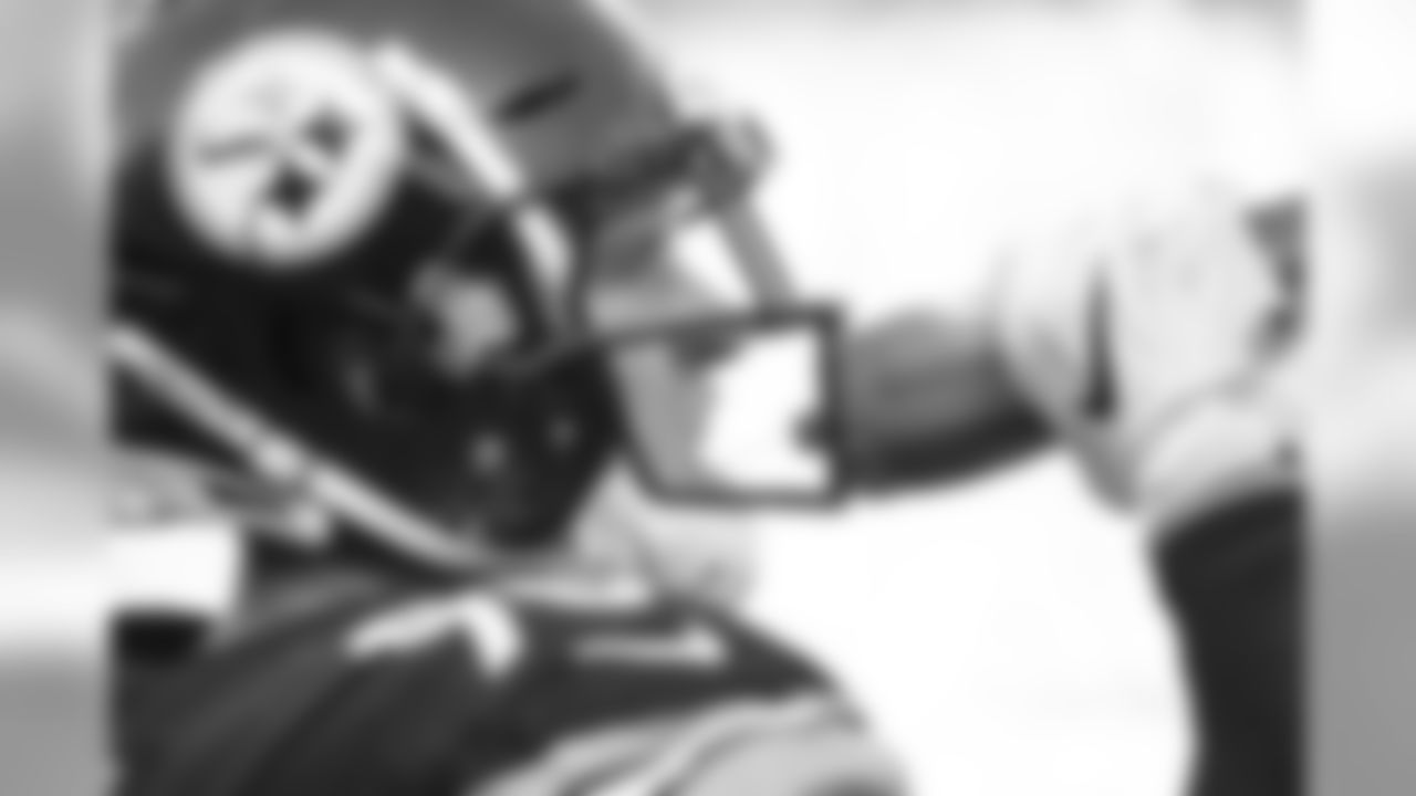 T.J. Watt