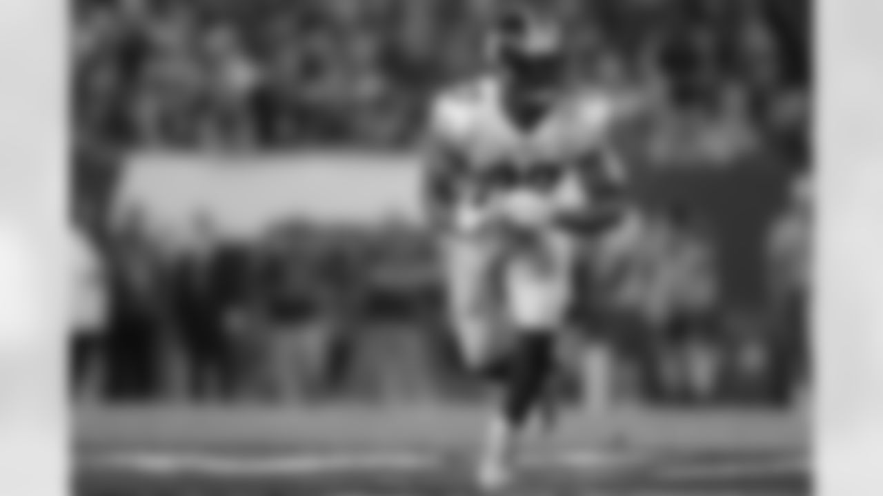 Stevan Ridley