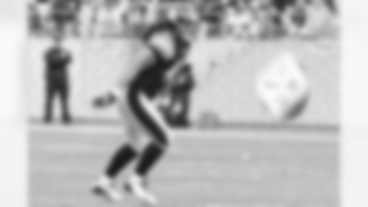 09_CLE_Polamalu