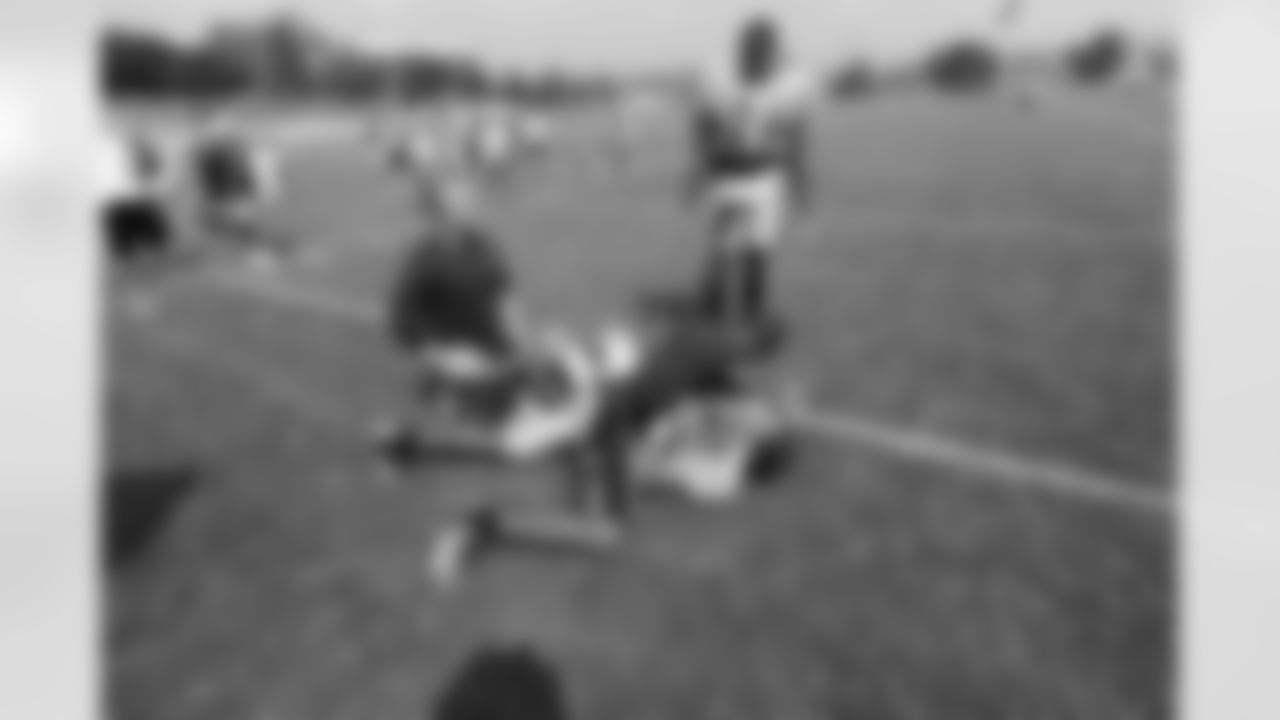 09_TC_Townsend_Polamalu