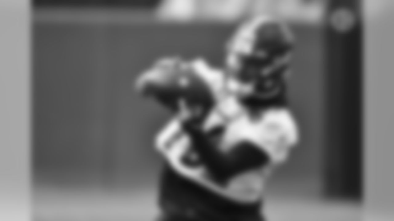 Diontae Johnson