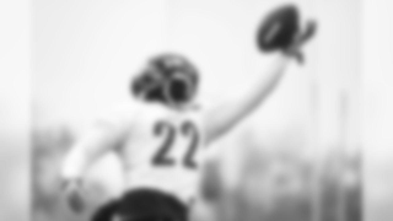 Stevan Ridley