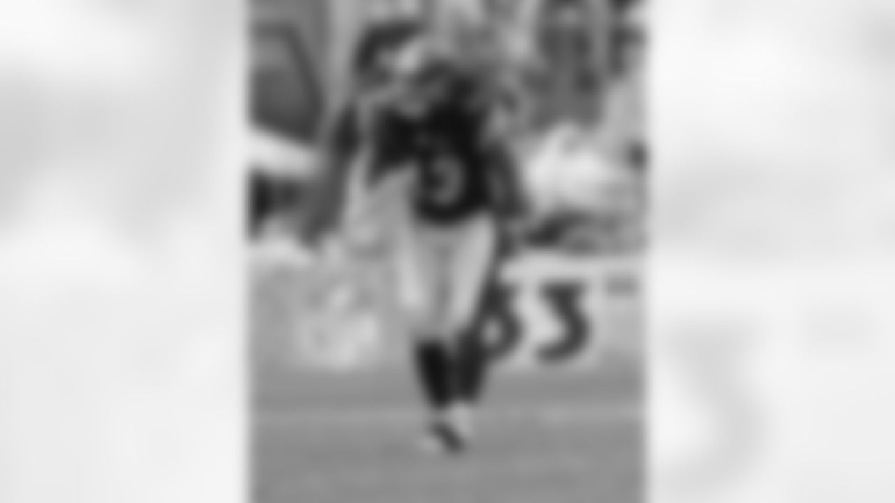 Troy Polamalu