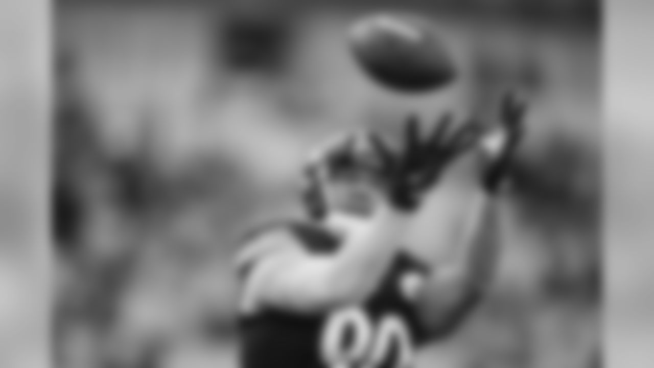 T.J. Watt