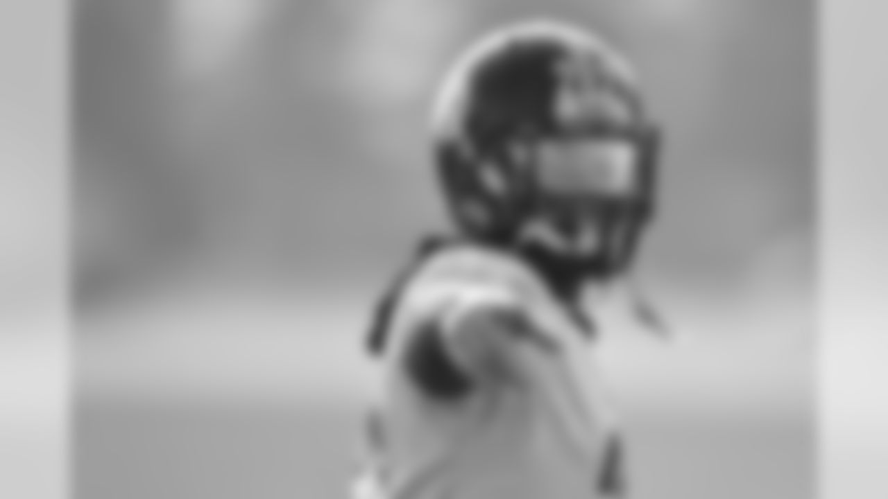Stevan Ridley