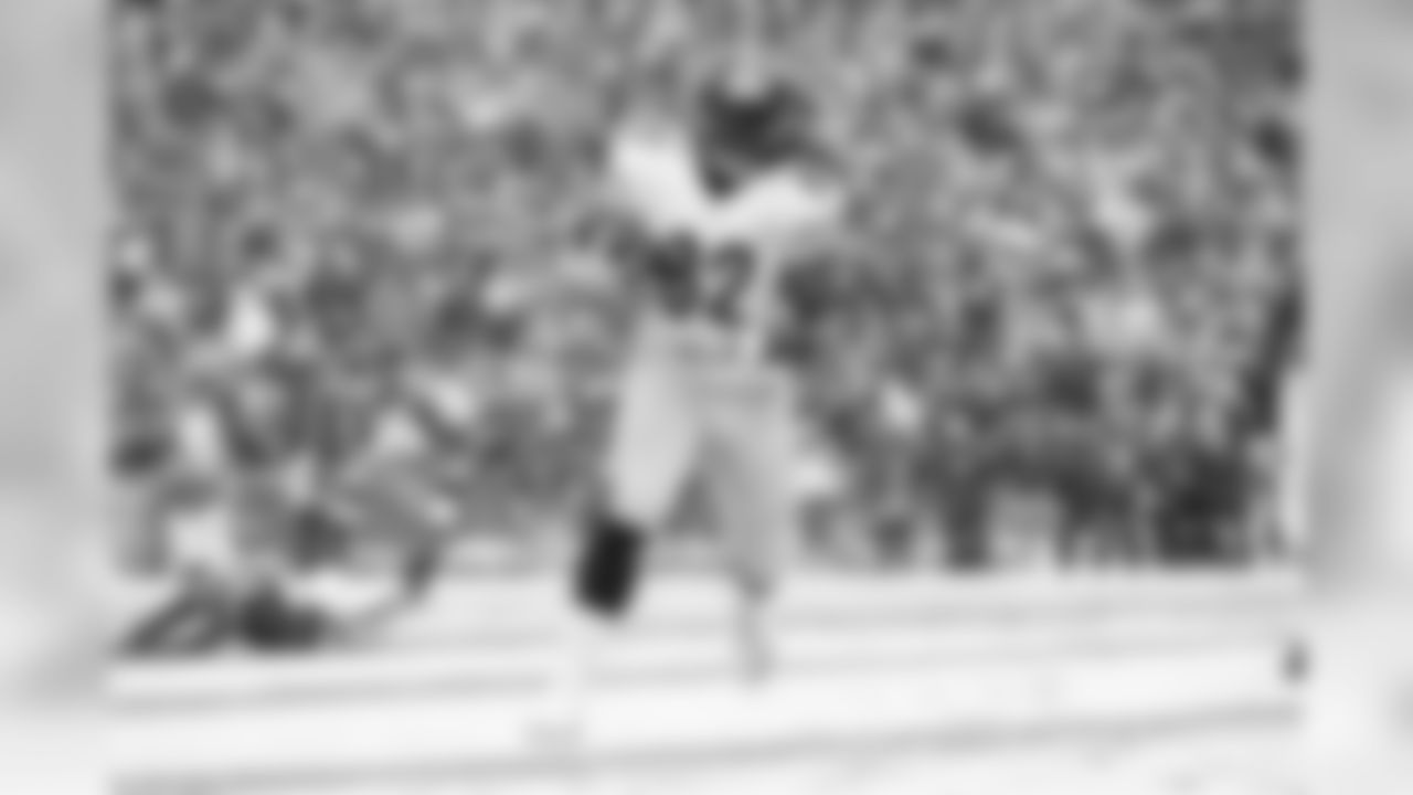 TE David Johnson signed with the Steelers on March 9, 2017.