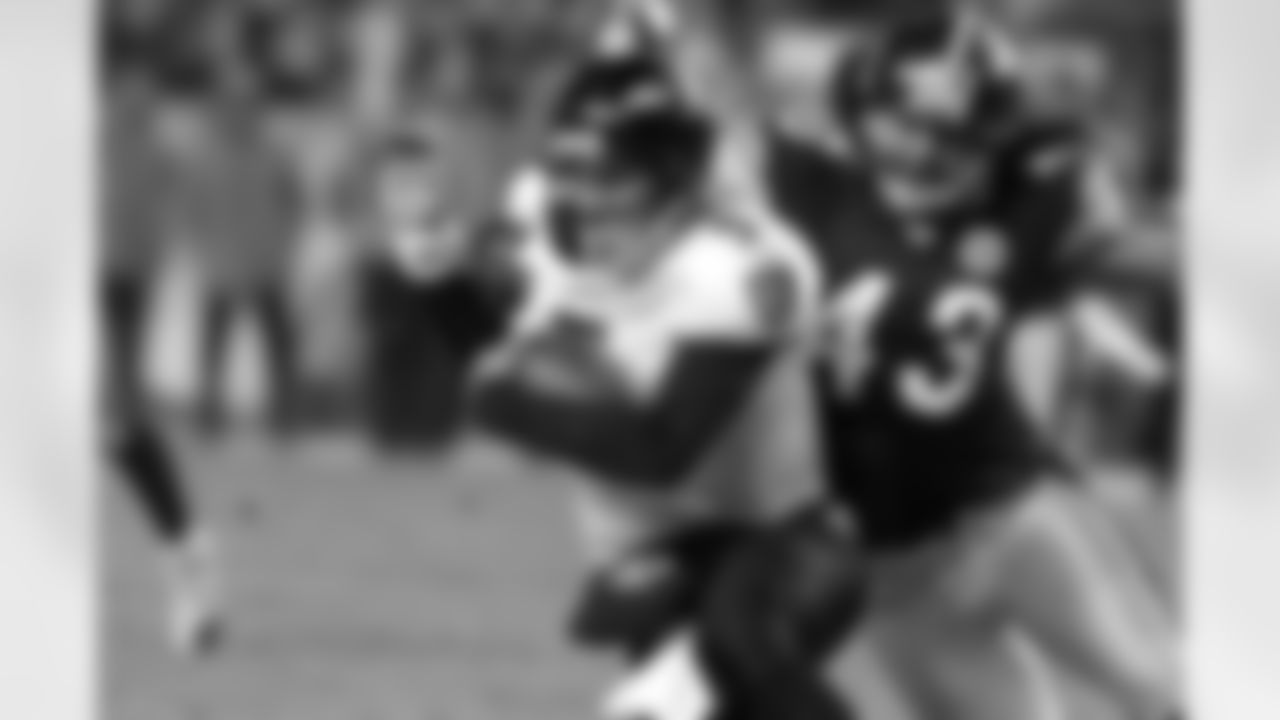 08_BAL3DH_polamalu2