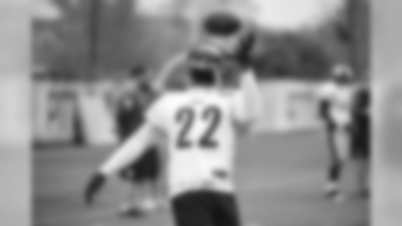 Stevan Ridley
