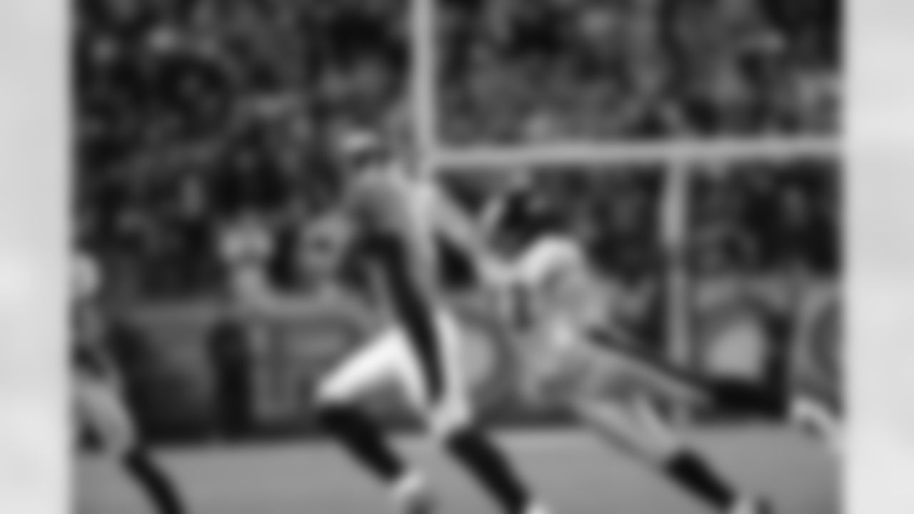 \09_DEN_Polamalu2