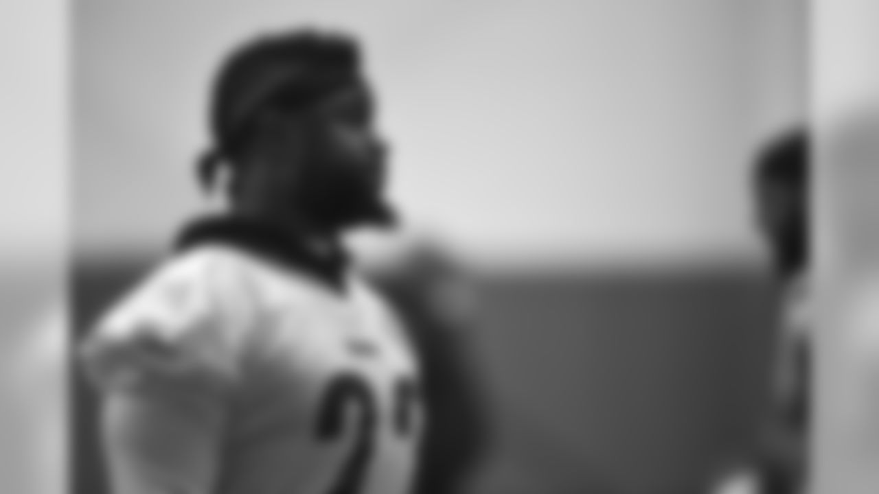 Stevan Ridley