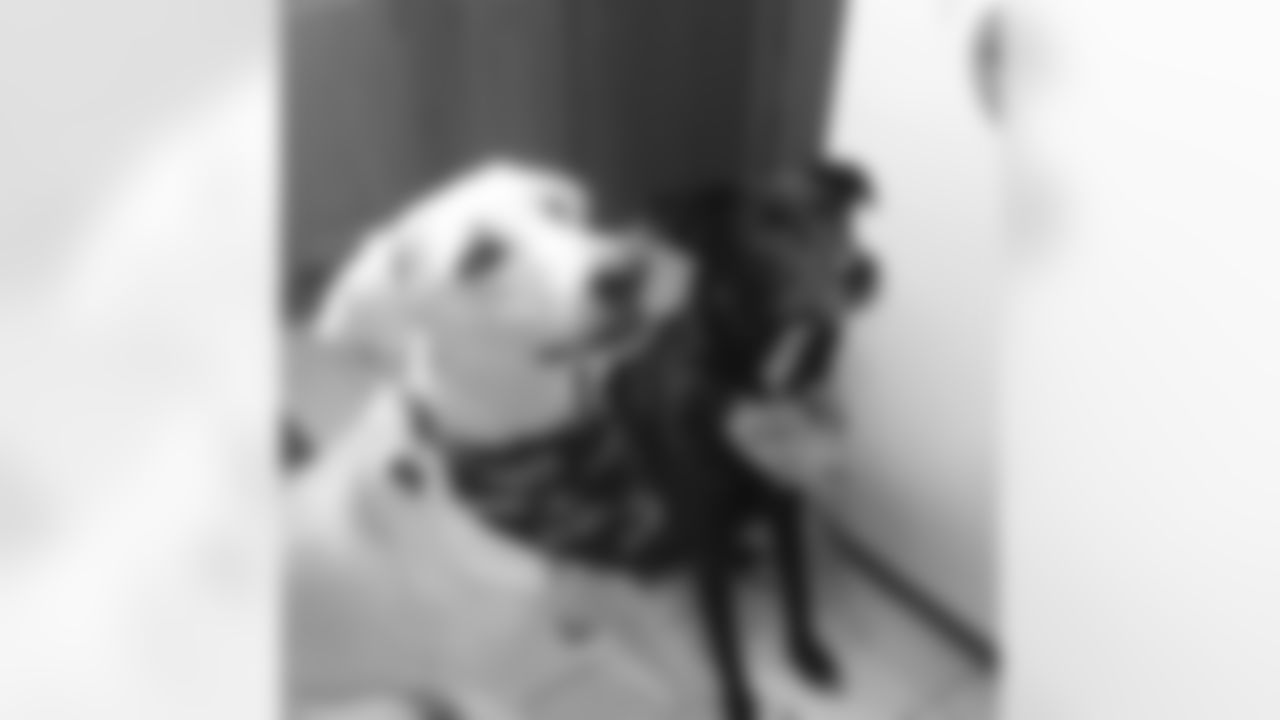 Rocky and Tango, submitted by Angela T.