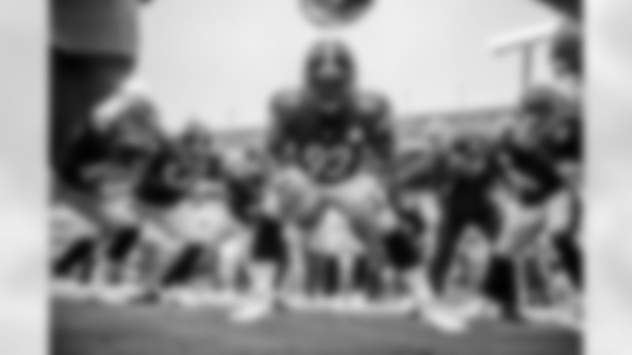 James Harrison and the linebackers