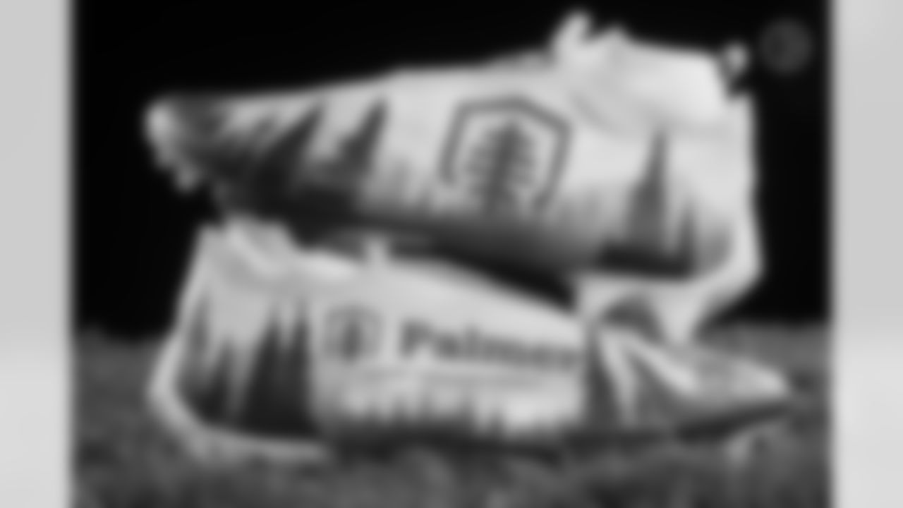 Pittsburgh Steelers linebacker Joe Schobert (93) will showcase his custom cleats supporting environmental conservation through The Palmer Land Conservancy during Week 13. Artist: Cody Sabol (Caitlyn Epes / Pittsburgh Steelers)