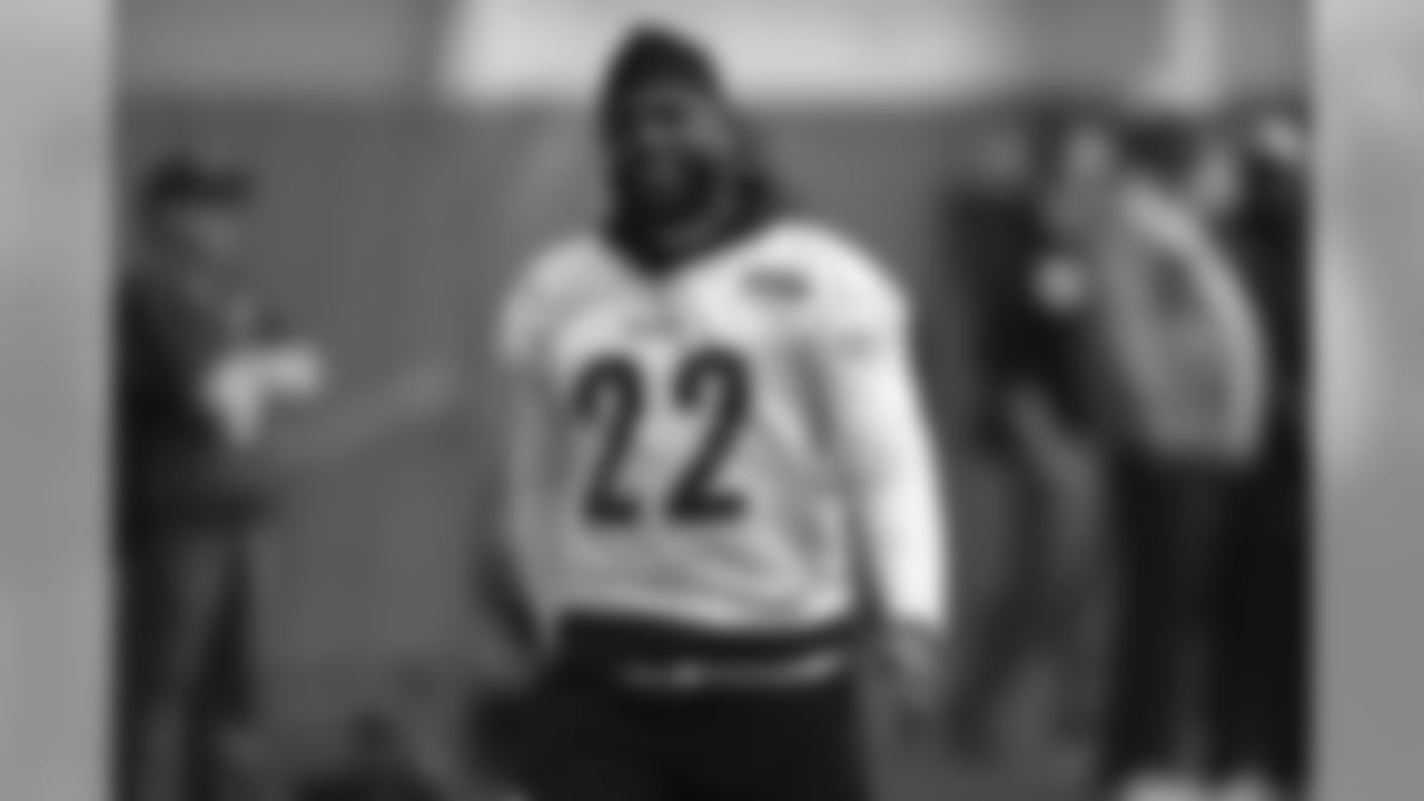 Stevan Ridley