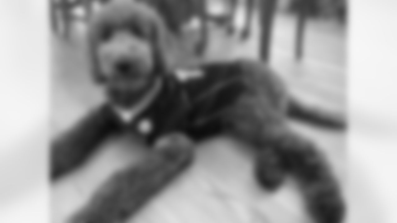 Submitted by Carly Hutchison