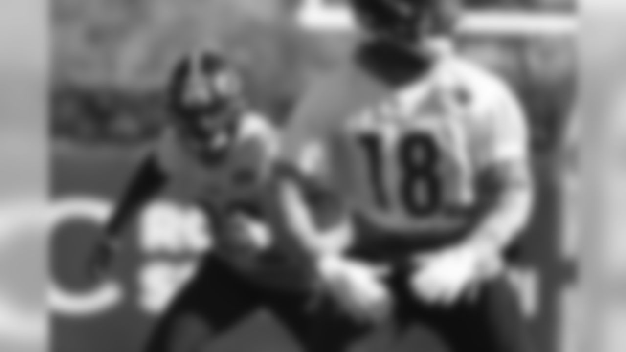 Steven Nelson