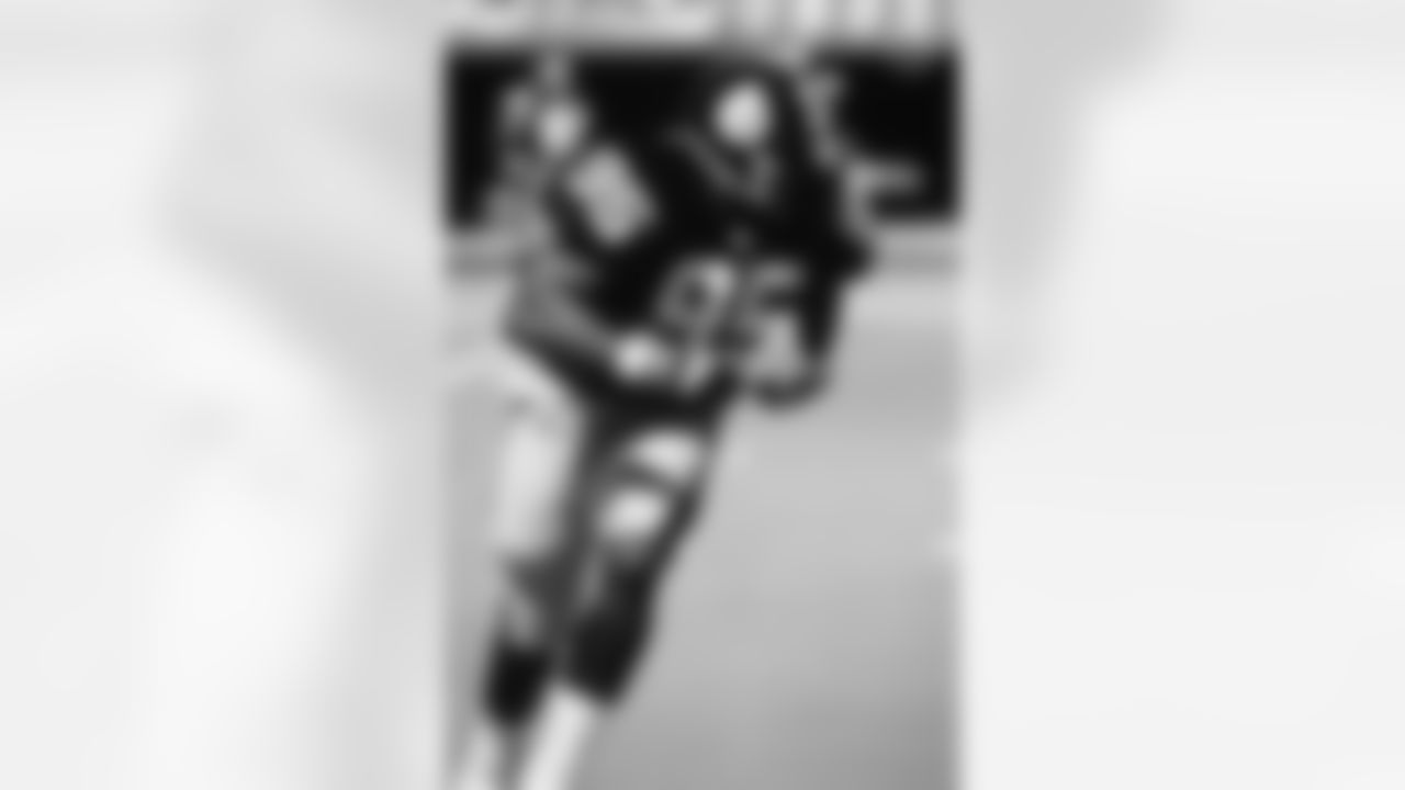 Action shot of linebacker Greg Lloyd #95 during his time with the Pittsburgh Steelers.