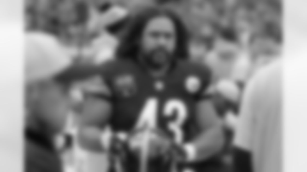 Troy Polamalu, 2014