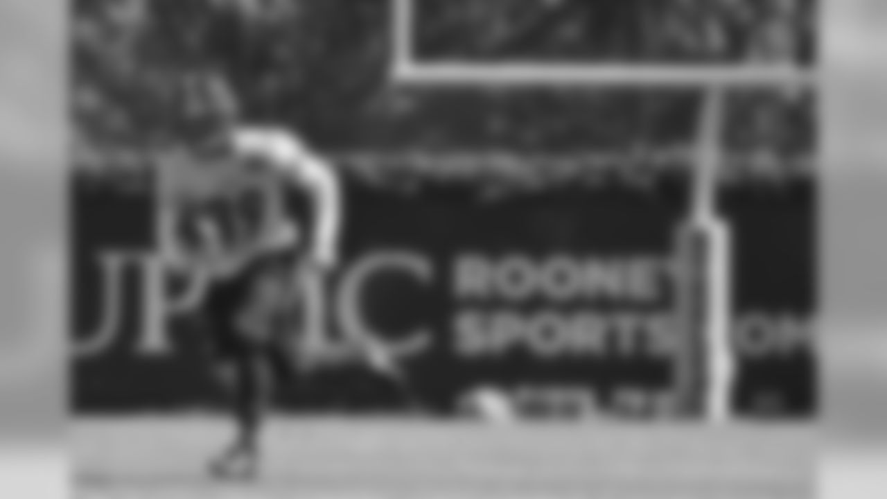 Minkah Fitzpatrick