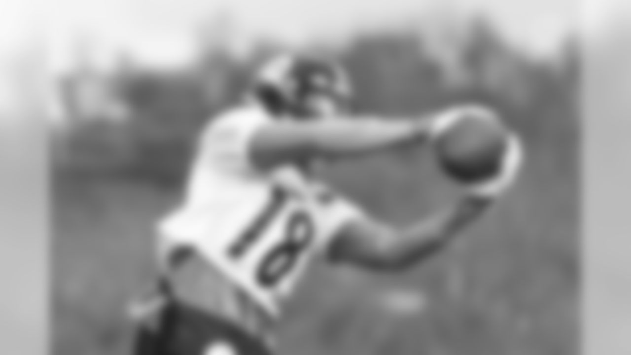 Diontae Johnson