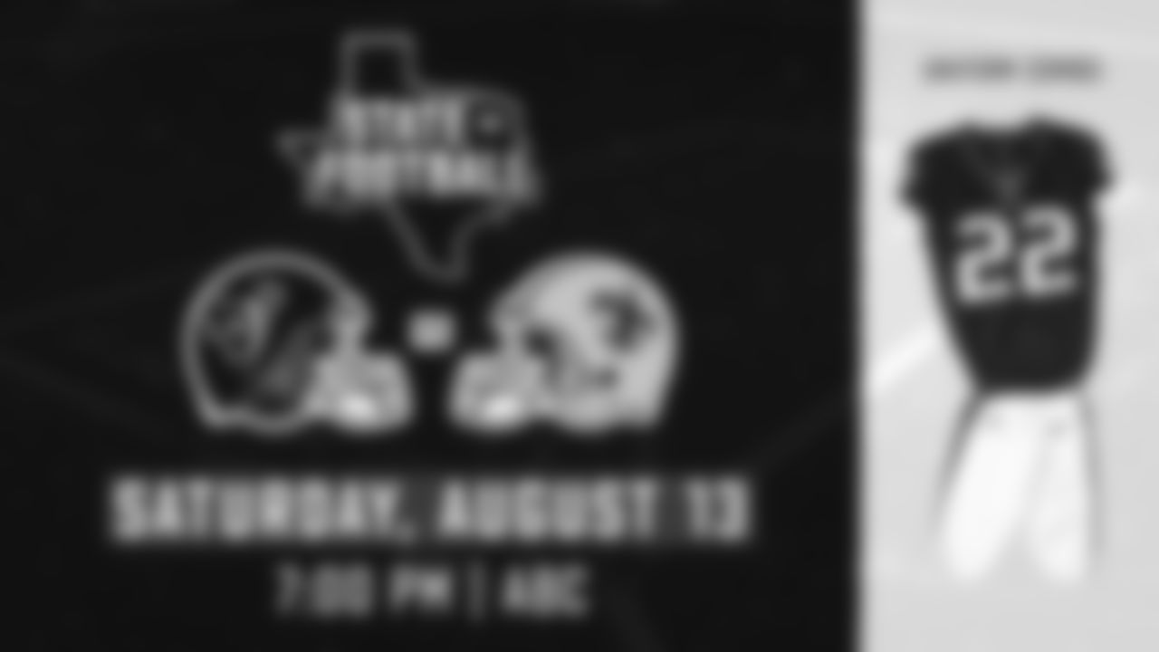 2023 Houston Texans Gameday Themes