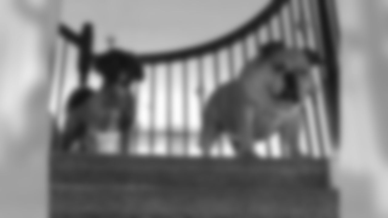 Jon Weeks has two dogs, Pickles (left) and Boomer (right).