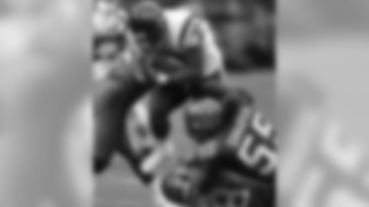 davis_hawks_big