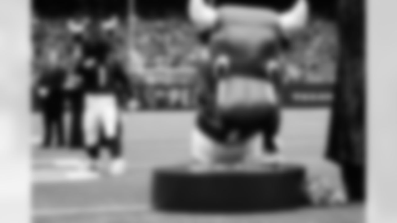 An image from the regular season week 8 game against the Los Angeles Rams at NRG Stadium in Houston, Texas, on Oct. 31, 2021.